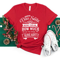 Lieber Weihnachtsmann, bevor ich es erkläre – Lustiges T-Shirt